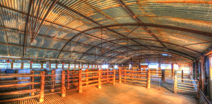 Bucklow Station - Woolshed - NSW T (PB5D 00 2634)